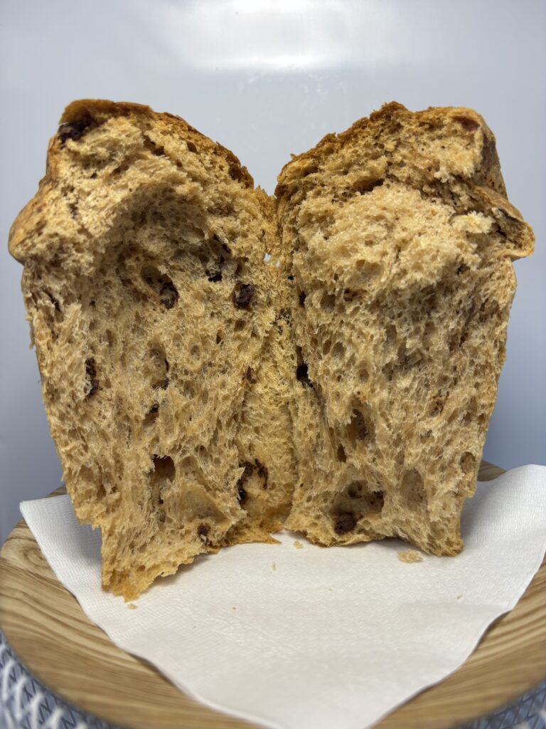 紙コップパン チョコレート　中身を出したところ3　半分に割った状態